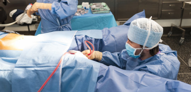 Accompagnement autour d’une interruption médicale de grossesse